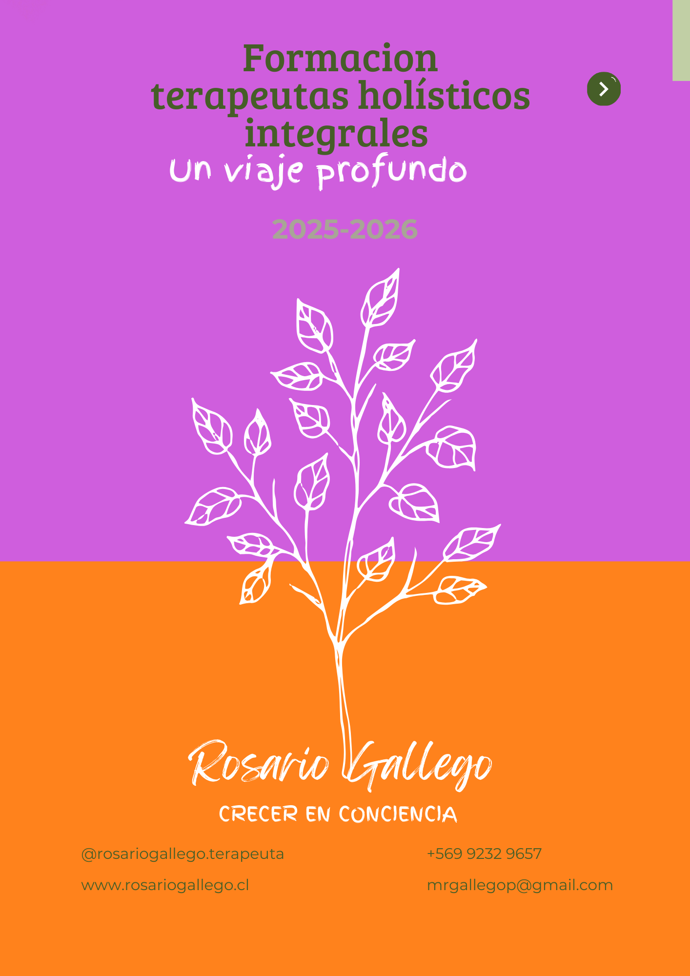 Formación Terapeutas Holísticos Integrales