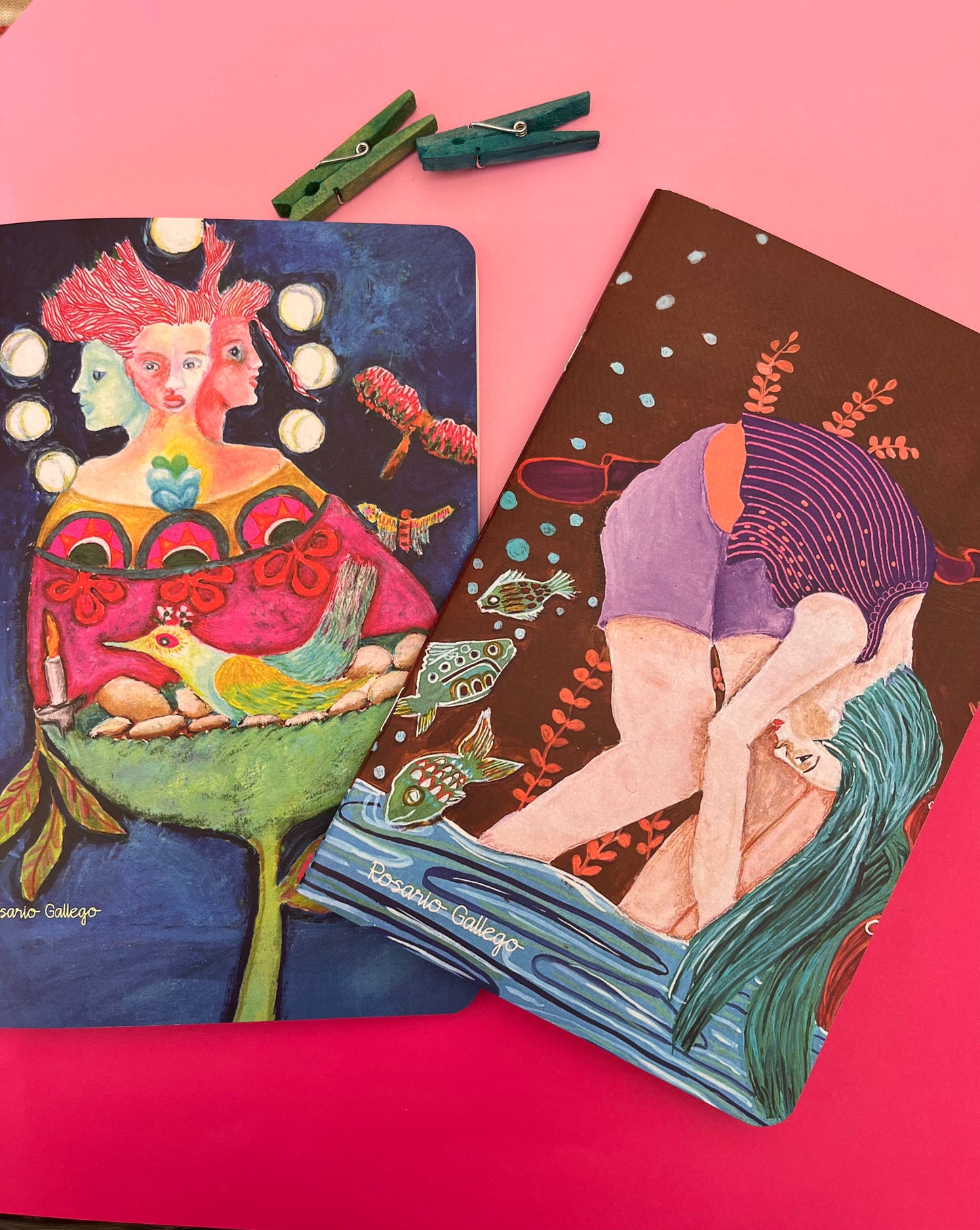 Pack 4 libretitas